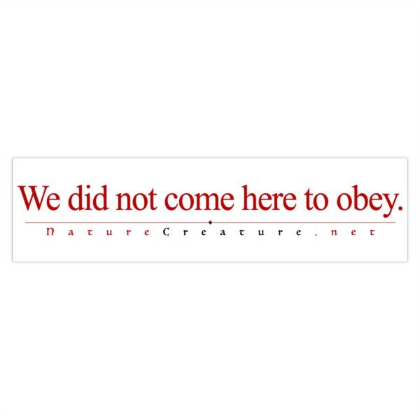 2346574843431817853_2048.jpeg No Obey Vinyl Bumper Sticker