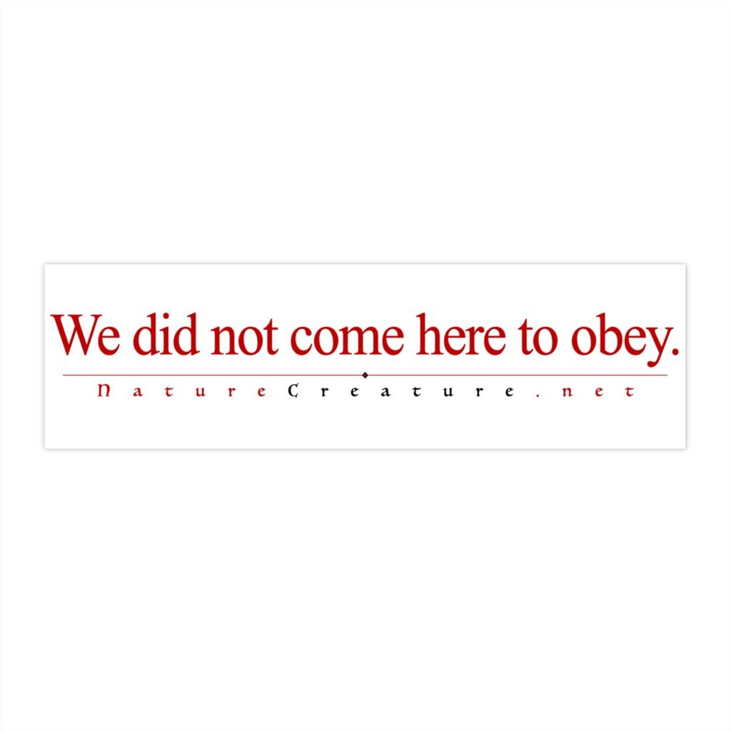 No Obey Vinyl Bumper Sticker