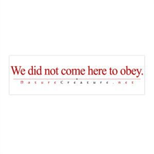 No Obey Vinyl Bumper Sticker