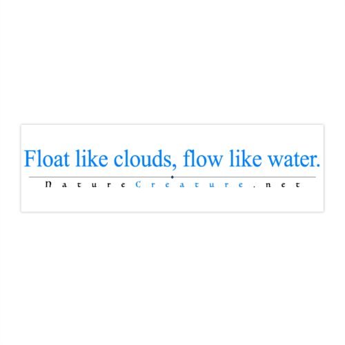 8706030492396434008_2048.jpeg Float Like Clouds Vinyl Bumper Sticker