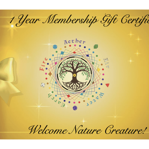 1 Year Sponsored Member