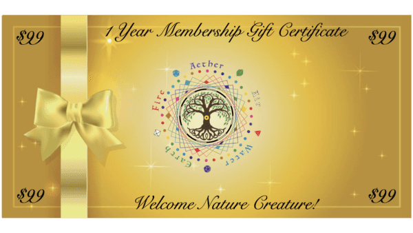 1 Year Sponsored Member