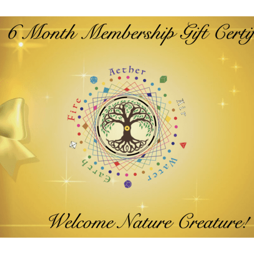 6 Month Sponsored Member