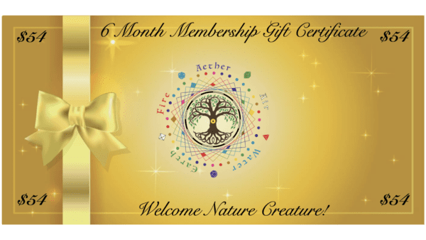 6 Month Sponsored Member