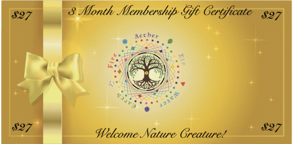 3 Month Sponsored Member